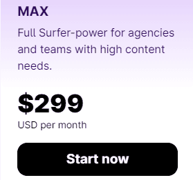 Surfer SEO Max