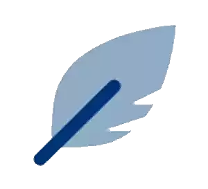 NeuronWriter